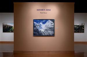 Natures Edge: An exhibition of drawings and paintings by Rod Bouc
